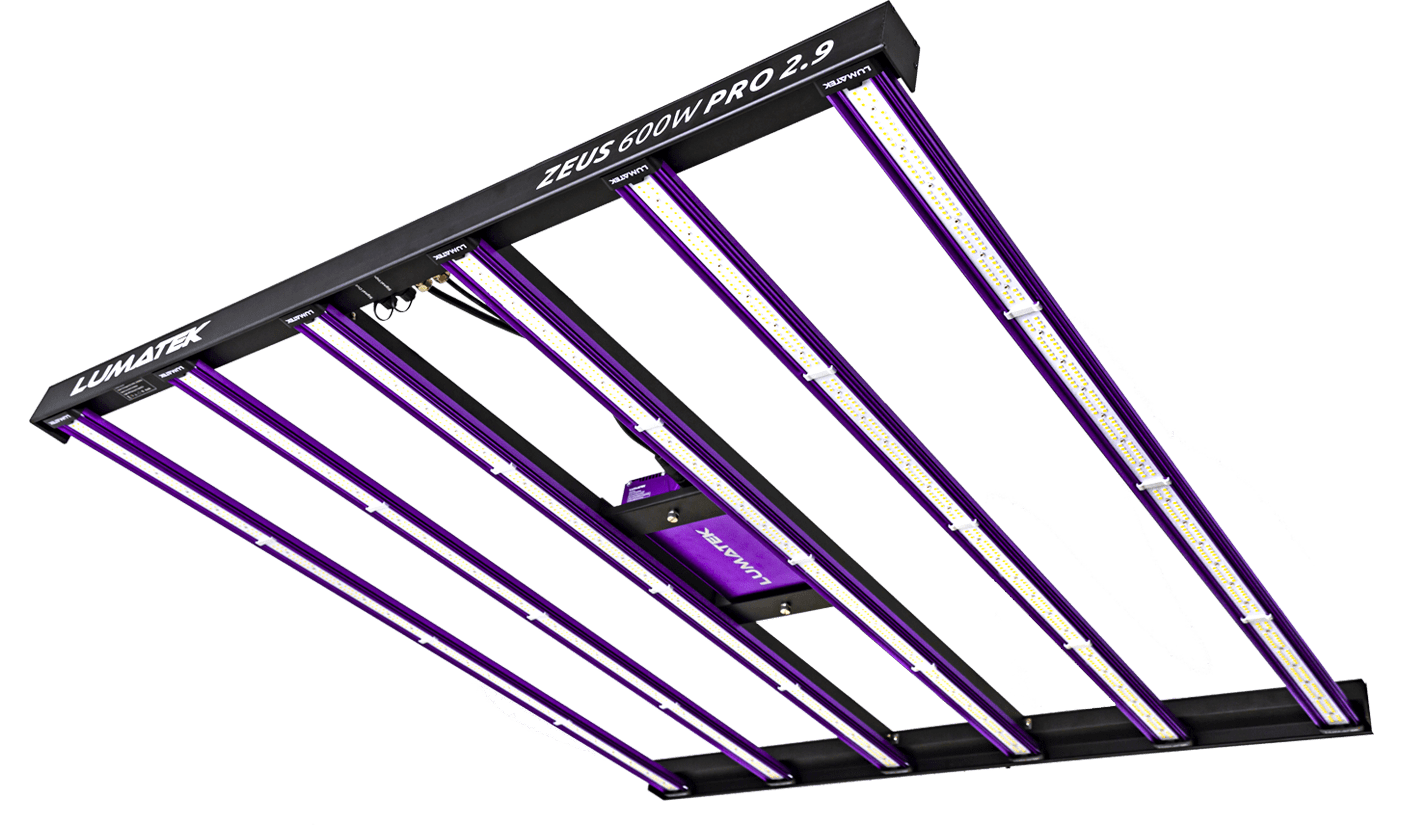 Il meglio per illuminare il tuo spazio di coltivazione