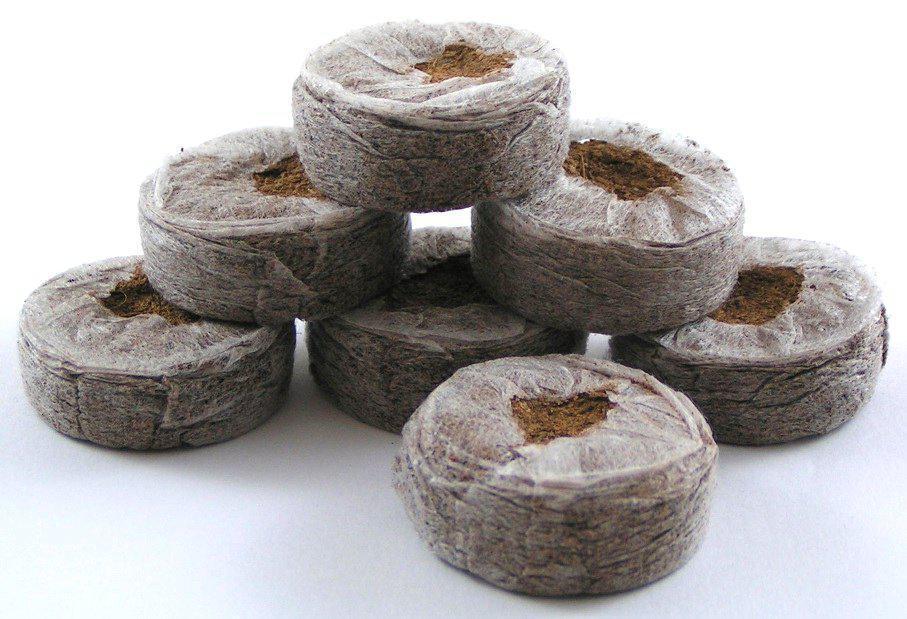 Dalla semina al raccolto: dovunque serve, MyGrass c'è